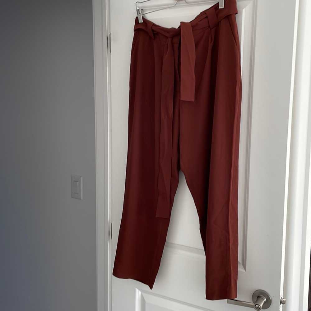 H&M Rust Ankle Pants
